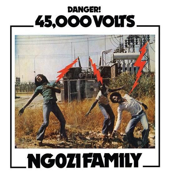 Пластинка Ngozi Family – 45,000 Volts LP - рис.0