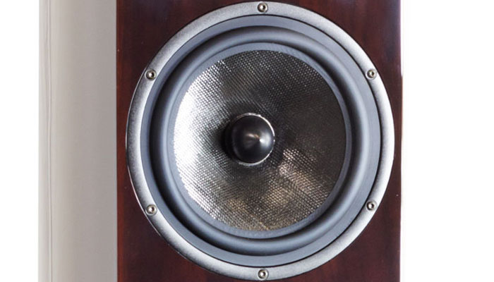 22-сантиметровый СЧ / НЧ динамик «изотактическая матрица»