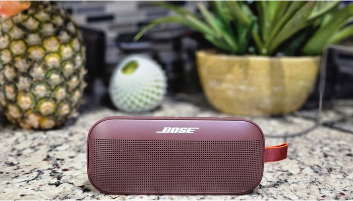 SoundLink Flex