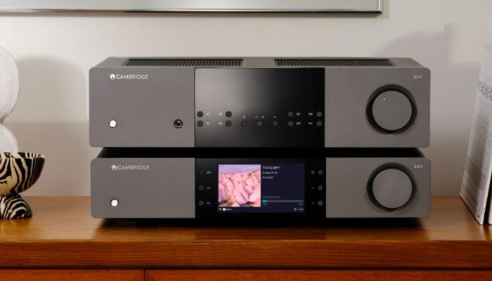 Стильный вид