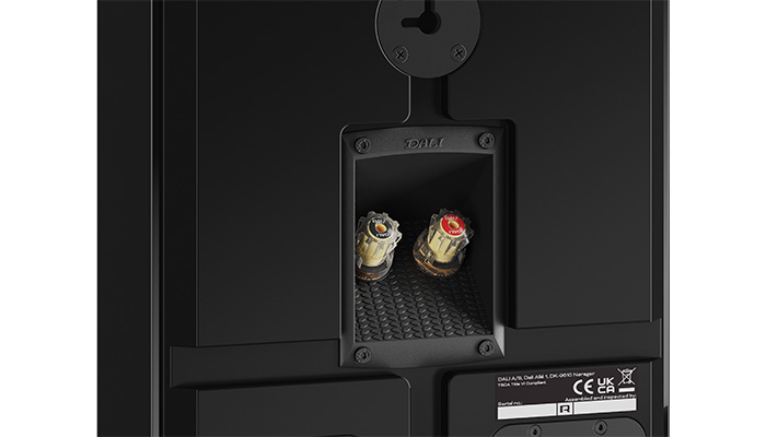 Dali Rubikore On-Wall