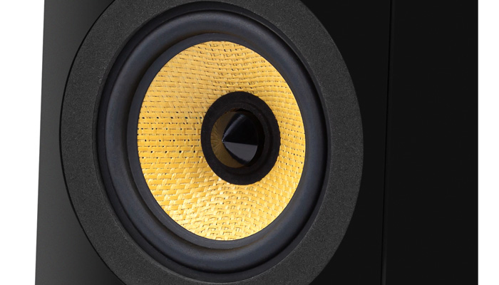 Среднечастотный динамик