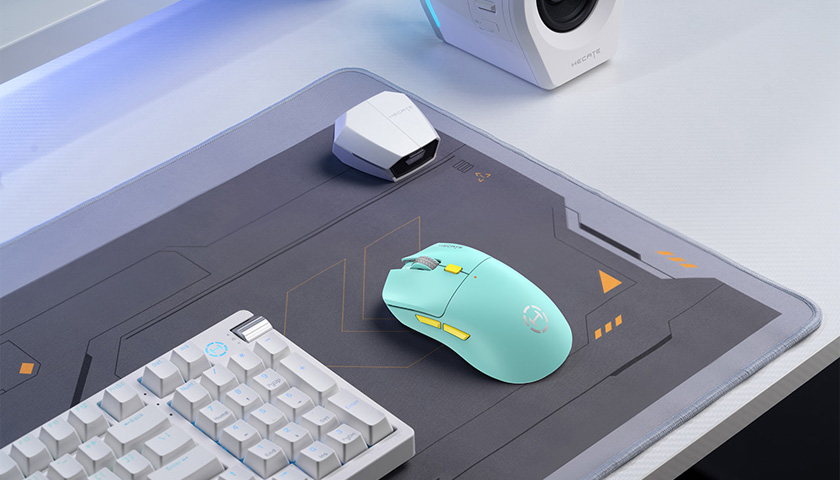 2 различных переключателя