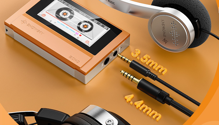 Двойные выходы 3,5 мм и 4,4 мм