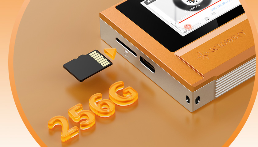 Поддерживает карты памяти micro-SD