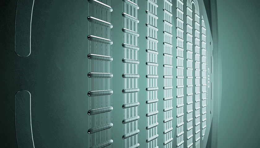 F.E.S. (FIIO Elastic System)