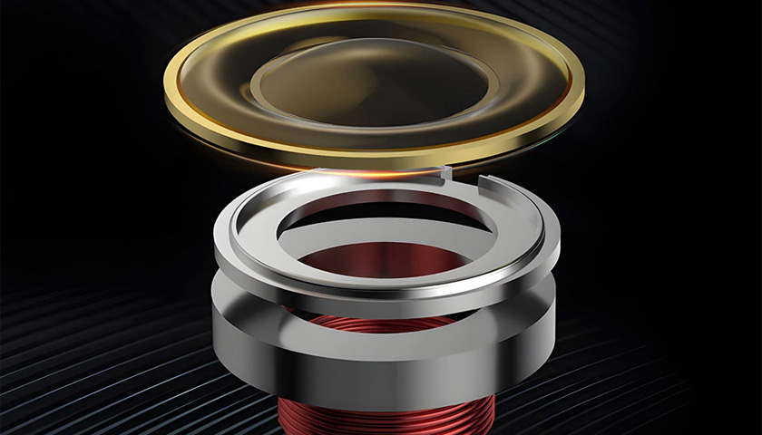 Диафрагма толщиной около 4,8 микрона