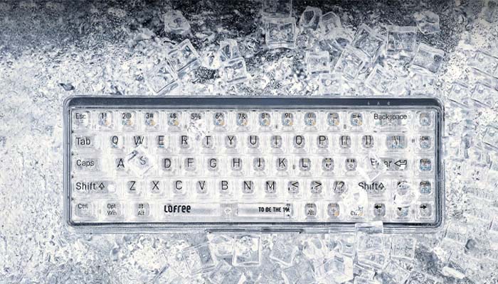 LOFREE_1_Transparent