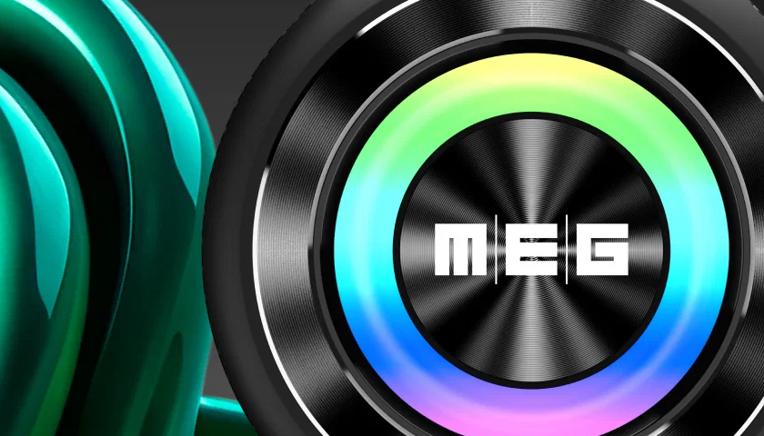 MEG