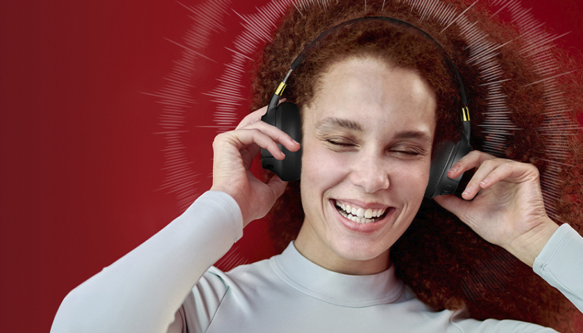 Активное шумоподавление Monster Persona SE ANC