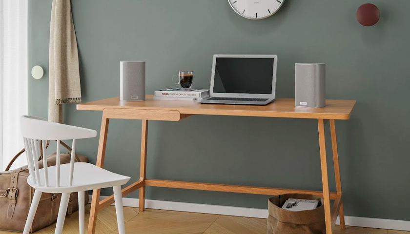Piega Ace 30 Wireless RX колонки