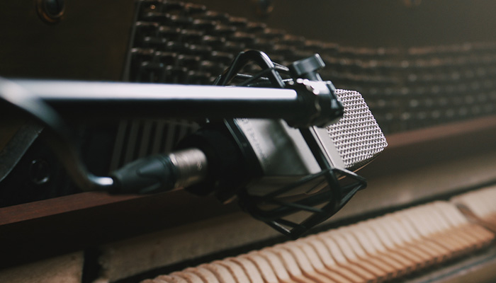 sE Electronics T2