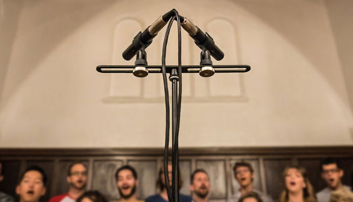 SE Electronics sE8 - инструментальный конденсаторный микрофон.