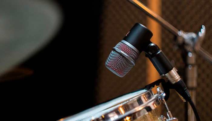 SE Electronics V BEAT