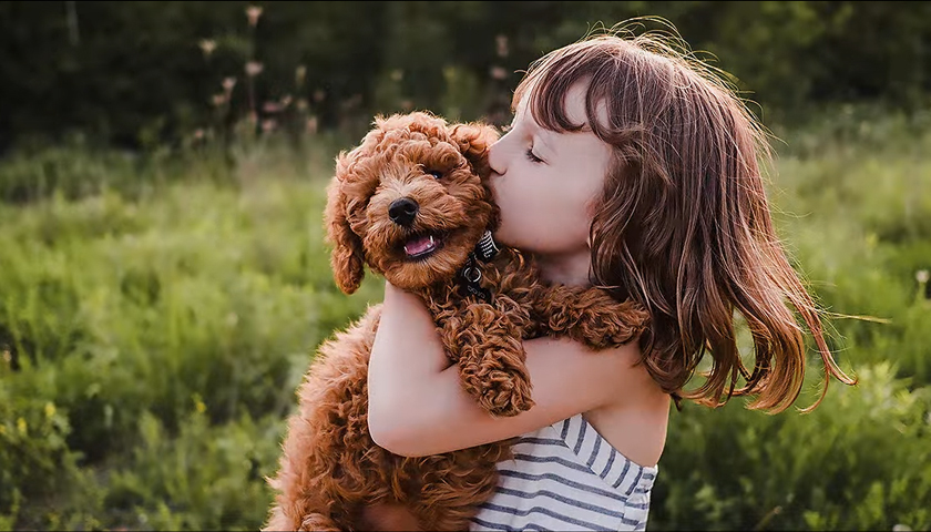 Технология интеллектуального масштабирования 4K AI Upscaling Pro