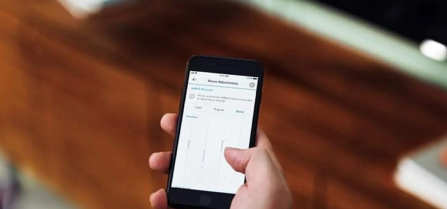 Sennheiser AMBEO Sub