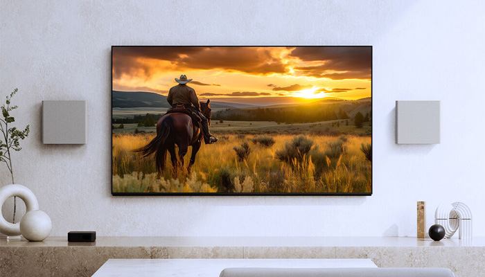 Функция BRAVIA TV