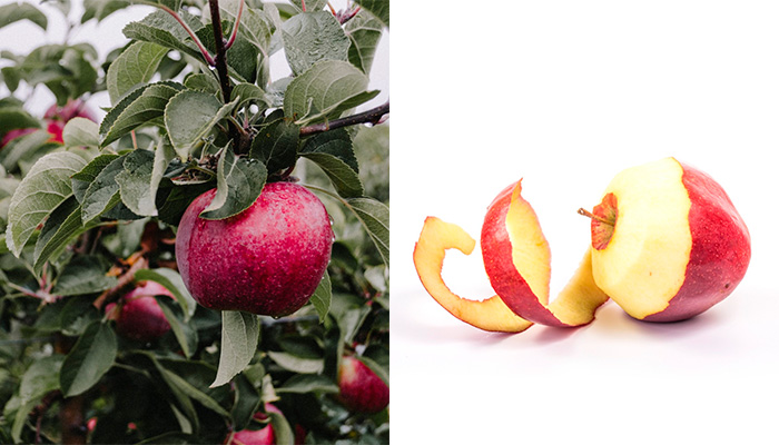 Sudio Leather Nio Case