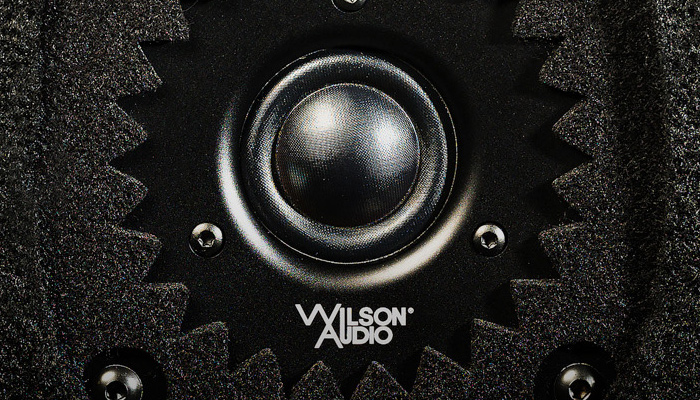 Корпус хай-тек в строгом соответствии принципам Wilson Audio