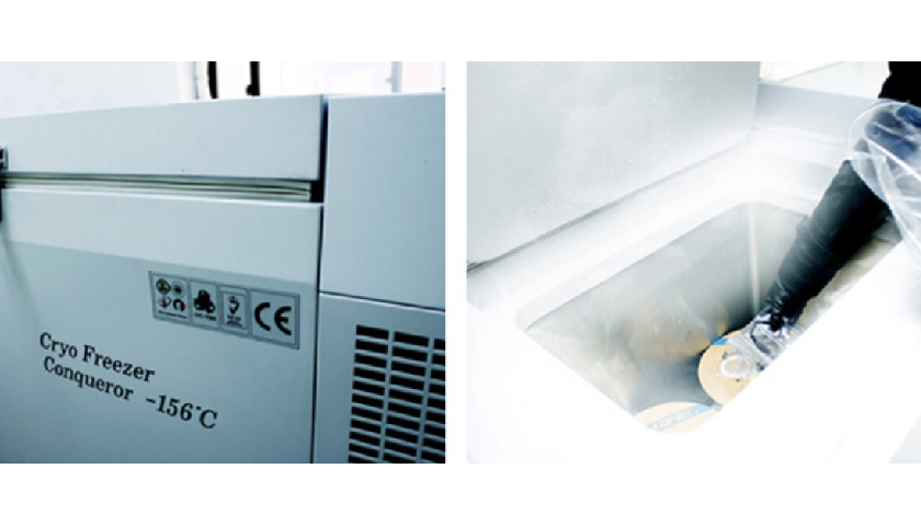 Уникальная криогенная обработка Advance Garou Gou black