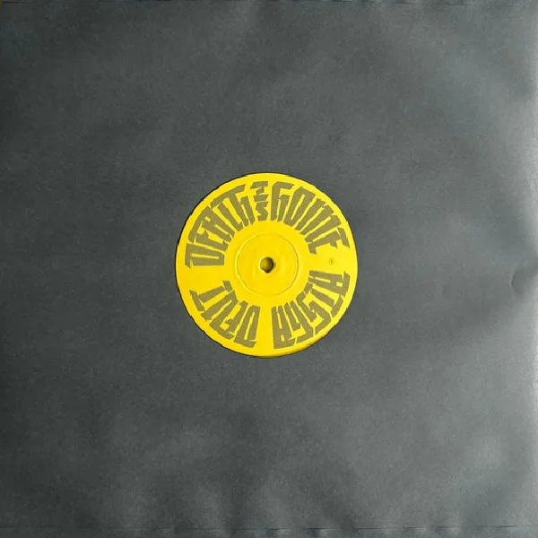 Виниловая пластинка Aisha Devi - Death Is Home LP - рис.3