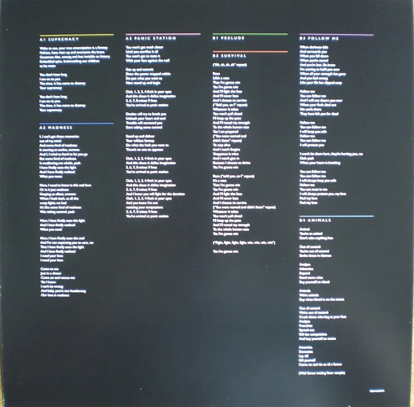 Виниловая пластинка Muse - The 2nd Law - 2LP - рис.13