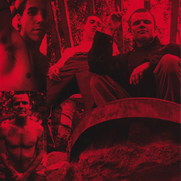 Виниловая пластинка Red Hot Chili Peppers - Blood Sugar Sex Magik - 2LP - рис.9