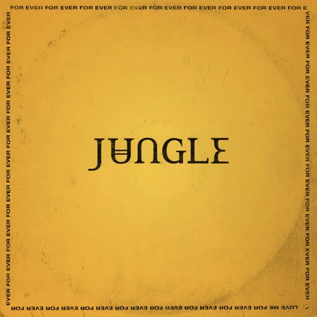 Виниловая пластинка Jungle – For Ever LP - рис.0