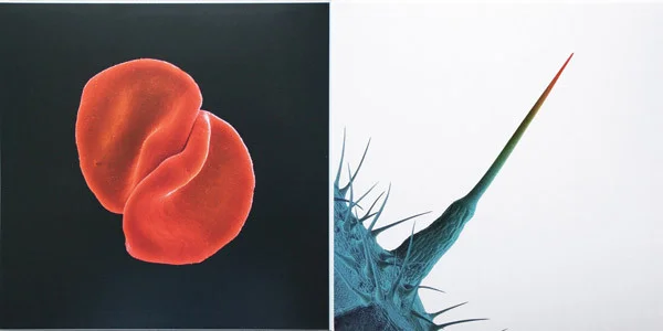 Виниловая пластинка Peter Gabriel - Scratch My Back And I'll Scratch Yours - рис.2