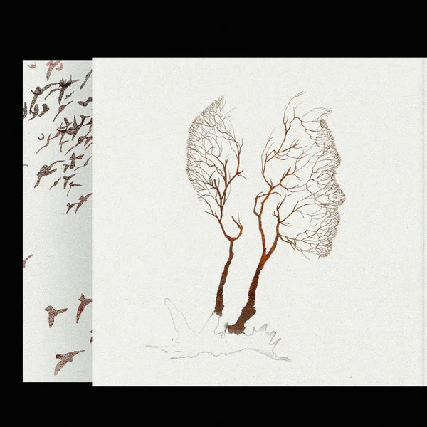 Виниловая пластинка Дельфин – Андрей 2LP - рис.1