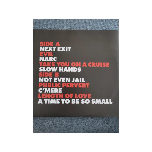 Виниловая пластинка Interpol - Antics (Coloured) LP - рис.2