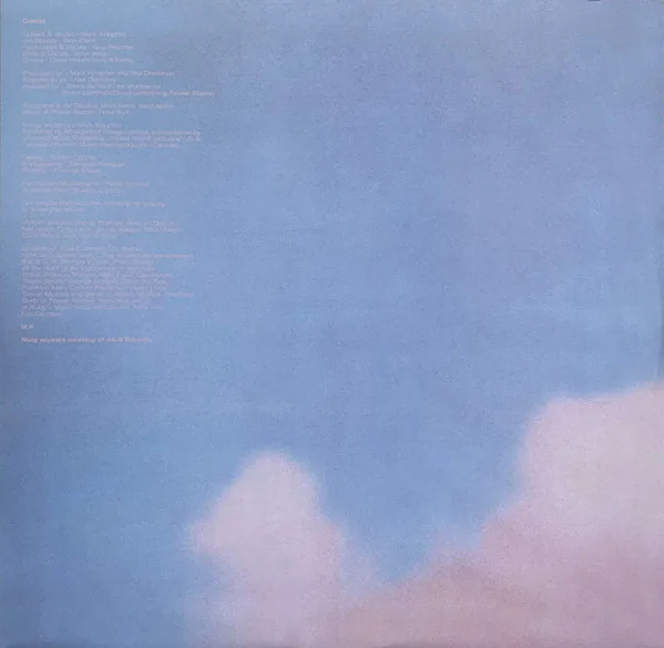 Виниловая пластинка Dire Straits Brothers In Arms (Half Speed Master) LP - рис.11