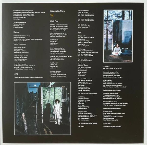 Виниловая пластинка Martina Topley-Bird – Quixotic - 2LP - рис.1