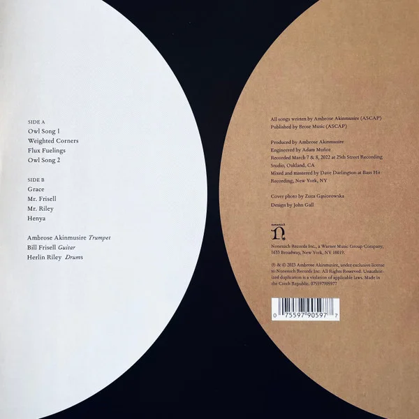 Виниловая пластинка Ambrose Akinmusire – Owl Song LP - рис.1