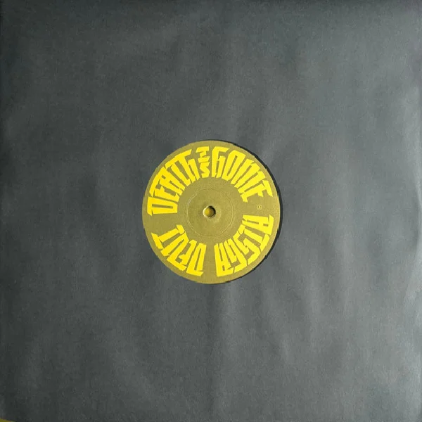 Виниловая пластинка Aisha Devi - Death Is Home LP - рис.2