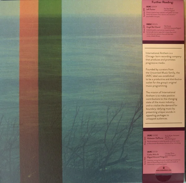 Виниловая пластинка Carlos Nino & Friends - More Energy Fields, Current - LP - рис.1