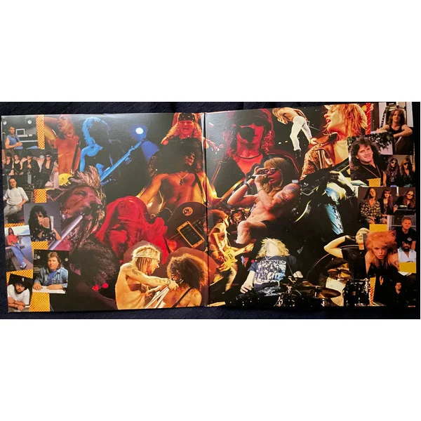 Виниловая пластинка Guns N Roses - Use Your Illusion I Remastered 2022 LP - рис.1