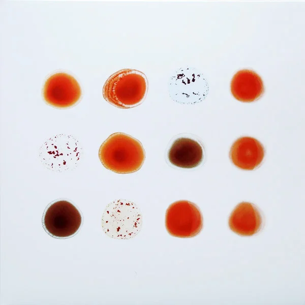 Виниловая пластинка Peter Gabriel - Scratch My Back And I'll Scratch Yours - рис.1