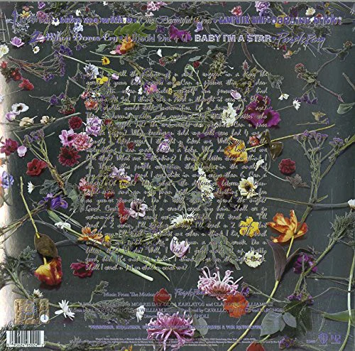 Виниловая пластинка Prince And The Revolution - Purple Rain LP - рис.1