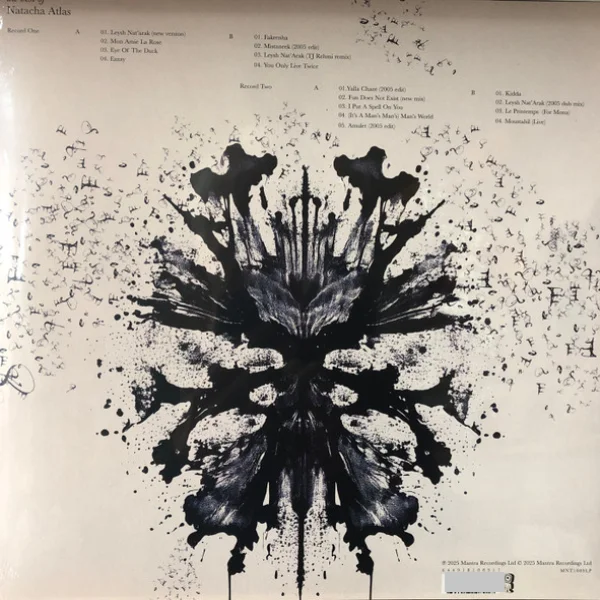 Виниловая пластинка Natacha Atlas – The Best Of Natacha Atlas - 2LP - рис.3