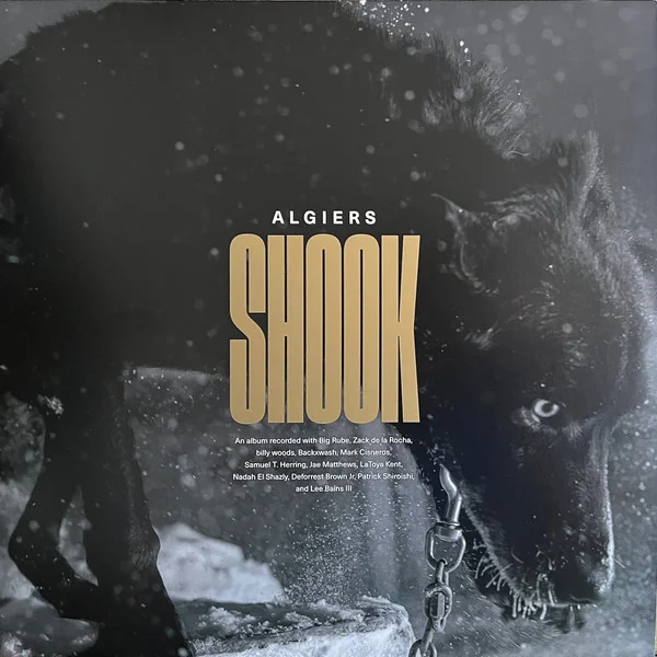 Виниловая пластинка Algiers – Shook - LP - рис.0