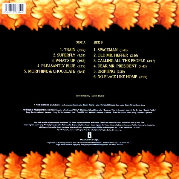 Виниловая пластинка 4 Non Blondes Bigger, Better, Faster, More! LP - рис.1