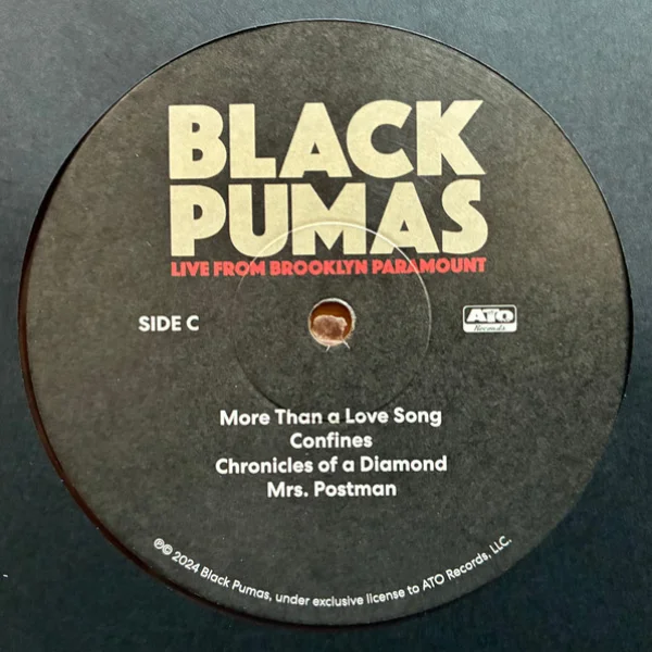 Виниловая пластинка Black Pumas - Live From Brooklyn Paramount - 2LP+CD - рис.9