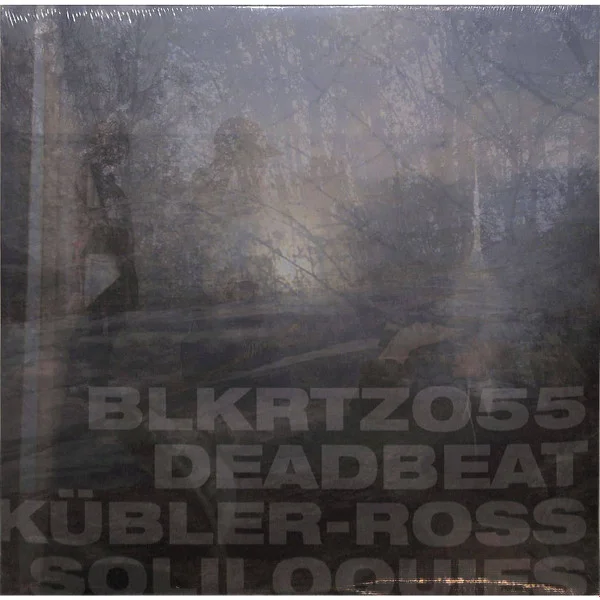 Виниловая пластинка Deadbeat - Kubler-Ross Soliloquies - 2LP - рис.0
