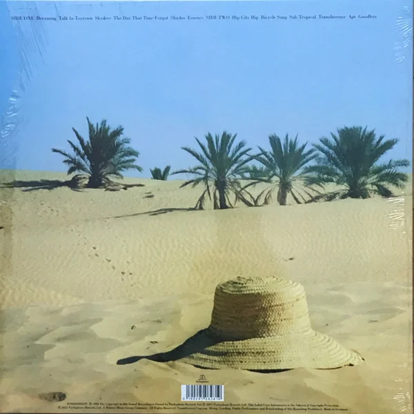 Виниловая пластинка Poly Styrene – Translucence LP - рис.1