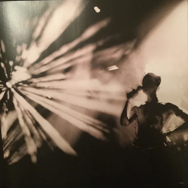 Виниловая пластинка Depeche Mode – 101 (Live) - 2LP - рис.11