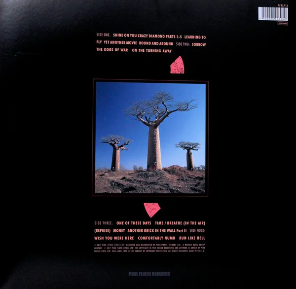 Виниловая пластинка Pink Floyd - Delicate Sound Of Thunder LP - рис.2
