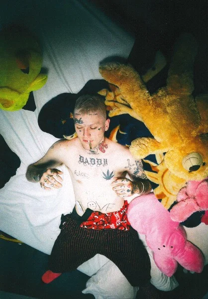 Виниловая пластинка Lil Peep - Come Over When You're Sober, Pt. 1 & Pt. 2 LP - рис.6