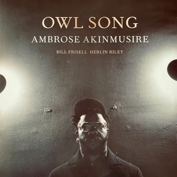 Виниловая пластинка Ambrose Akinmusire – Owl Song LP - рис.0