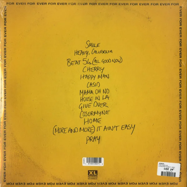 Виниловая пластинка Jungle – For Ever LP - рис.1